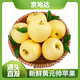 京地達(dá)山東黃元帥蘋果凈重3斤單果150g+ 新鮮水果 現(xiàn)摘現(xiàn)發(fā)源頭直發(fā)包郵