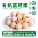 葛溪正太雞蛋有機雞蛋富硒雞蛋無(wú)抗土雞蛋散養鮮雞蛋有機谷物飼養山林散養 土雞蛋(36枚)有機富硒認證單個(gè)約50g
