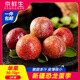 京鮮生新疆恐龍蛋李 凈重3斤裝 單果50-70g+ 生鮮水果 源頭直發(fā)包郵