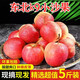 甜盟東北海棠果【順豐上門】k9沙果花紅果現(xiàn)摘黃太平123小蘋果雞心果 5斤凈重大果（升級(jí)-品質(zhì)裝） 順豐速運(yùn)【甄選-巨劃算】