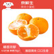 京鮮生 南非柑橘小蜜桔4.5斤裝 單果70g+ 生鮮水果 源頭直發(fā) 包郵