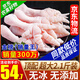 柒島無骨雞爪生鮮新鮮去骨鳳爪冷凍批發(fā)半成品泡椒大號雞腳脫骨凈重 2.01斤無骨雞爪24-26只 頂配無冰