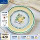 德國唯寶（Villeroy&Boch）法式花園系列 家用餐盤(pán)  法式油畫(huà)感餐具 日用瓷碗盤(pán) Valence 平盤(pán) 21cm