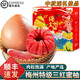 桃西村知秋夢(mèng)梅州三紅蜜柚【順豐到家】紅心蜜柚中秋團購禮盒裝新鮮水果 凈重9斤 三紅柚【3-4個(gè)裝】禮盒