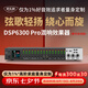 麥樂(lè )迪DSP6300卡拉ok混響器 數字音頻前級效果器 家庭影院防嘯叫調音臺處理器含話(huà)筒 調音臺均衡器 DSP6300 Pro豪華升級版(含線(xiàn)) 標準版