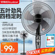 榮事達（Royalstar） 電風(fēng)扇落地扇家用宿舍搖頭風(fēng)扇轉頁(yè)五葉大風(fēng)量可升降 16英寸機械四檔定時(shí)【延長(cháng)線(xiàn)款】