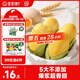 寶寶饞了玉米奶黃包200g兒童早餐輔食包子點(diǎn)心速食送嬰兒營(yíng)養輔食食譜