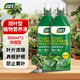 尚洋綠葉型植物營(yíng)養液1000mL水培綠植花肥料金錢(qián)樹(shù)園藝花卉盆栽有機肥