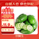 京鮮生 海南香水檸檬 1斤裝 單果70g-90g 生鮮水果