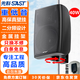 先科（SAST）DW40壁掛音箱喇叭 40W無(wú)源需連功放機(jī)音響店鋪商用工程會(huì)議室家用餐廳公共廣播背景音樂(lè) 4英寸 
