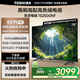東芝電視75Z500NF 75英寸 144Hz 高刷高色域3+128GB 火箭炮 4K超清智能電視機(jī) 以舊換新家電國(guó)家補(bǔ)貼