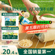 英氏（Engnice）嬰幼兒無麩質(zhì)綿綿泡芙 嬰兒寶寶零食無蛋奶添加健康零食易溶18g