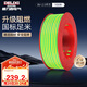 德力西（DELIXI）電線電纜ZC-BV2.5平方阻燃單芯單股家用銅芯電線100米黃綠地線 