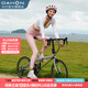 大行（DAHON）451輪組彎把折疊自行車(chē)18速男女通用公路運動(dòng)自行車(chē)KDC083 電鍍銀