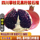 拉爾莊園【順豐】酸石榴 四川攀枝花黑籽酸石榴 軟籽石榴 孕婦水果可泡酒 8斤精品特大果（單果400g以上）