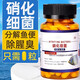 JCZS德國品牌硝化細(xì)菌魚缸專用凈水劑膠囊水質(zhì)凈化養(yǎng)魚培養(yǎng)菌消化分解 買 1 送 1 【凈化水質(zhì) 分解糞便】