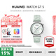 華為（HUAWEI）手表WATCH GT 5 41mm七夕禮物小表盤(pán)智能手表情緒健康血氧運(yùn)動(dòng)監(jiān)測(cè) 【送表帶】【華為官方授權(quán)店】 41mm 小表 湖光青 官方標(biāo)配