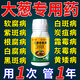 晴天霹靂大蔥干尖黃葉專用藥蔥病全治蔥葉子發(fā)黃白斑根腐病害靈蔥蒜葉面肥 1瓶【治療+預(yù)防】當(dāng)天發(fā)貨