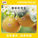 都樂Dole 秋月梨 中秋限定 時(shí)令水果 凈重1.6kg 4-6枚簡裝