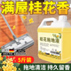 JCZS德國木地板清潔劑強(qiáng)力去除污垢去異味留香家用消毒花露水持久留香 2500g 桂花拖地液強(qiáng)力去污不傷地板