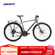 捷安特（GIANT）Escape 2 City Disc城市休閑通勤健身16速平把公路自行車(chē) Metal 700C×535MM L 建議180-190cm