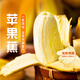 東方甄選蘋(píng)果蕉香蕉當季新鮮水果整箱自然慢育 4.5斤（約10-20根）