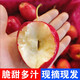 25年頭茬東北特產(chǎn)雞心果脆甜錦繡海棠果當季新鮮水果小蘋(píng)果 5斤帶箱優(yōu)選凈重4.5斤 精品裝單果20g+