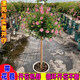 曄忻小木槿棒棒糖盆栽植物室內(nèi)室外陽臺庭院好養(yǎng)開花耐寒耐旱易爆花卉 小木槿棒棒糖-70-80高】