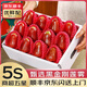 優(yōu)味集蓮霧黑金剛【順豐JD速發(fā)】整箱熱帶新鮮孕婦水果海南霧連風(fēng)鈴鐺 1500g凈重【商超級(jí)單果75-120g】