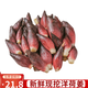 柏饞洋荷姜新鮮 陽(yáng)荷姜 洋河陽(yáng)和姜洋火陽(yáng)藿洋荷洋胡姜蔬菜 2斤