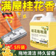JCZS德國拖地留香液地板家用清潔劑清香專(zhuān)用消毒水花露水持久留香 2500g 桂花拖地液強力去污不傷地板