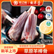 草之味內蒙古蘇尼特草原骨小肉多羔羊棒骨2斤 /袋新鮮羊肉 內含干料包1000g