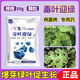 正源禧牧毒葉迎綠套餐西紅柿辣椒黃瓜葡萄蔬菜花葉小葉卷葉黃葉 不夠用丨1袋【50g】【毒葉迎綠】 無(wú)規格