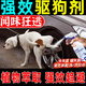 驅狗劑防狗亂拉屎尿大小便撒尿輪胎噴霧驅避劑神器室外長(cháng)效專(zhuān)用 【科學(xué)氣味趨避】300ml*1瓶