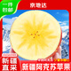 京地達新疆阿克蘇冰糖心蘋(píng)果水果中秋送禮凈重5斤單果75mm+源頭直發(fā)包郵