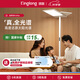 琪朗（KINGLONG）大路燈落地護眼學(xué)習臺燈【國家補貼】全光譜立式學(xué)習閱讀護眼燈具 自然光立式護眼燈ProMax版