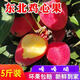 東北特產(chǎn)雞心果錦繡海棠果小蘋(píng)果沙果酸甜脆新鮮孕婦水果 精品大果禮盒裝