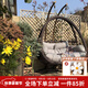紫葉（ziye） 吊籃藤椅陽臺(tái)家用室內(nèi)秋千搖搖椅成人客廳吊籃椅搖籃椅雙人吊椅 升級加粗木紋【配坐墊地毯】雙桿高承重
