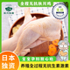 秋川雞生鮮雞腿肉 無(wú)抗雞腿 鹵雞腿烤雞腿 厚實(shí)飽滿(mǎn) 走地雞 1斤/袋 土雞帶骨腿肉