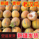 老漢瓜新疆特產(chǎn)喀什甜瓜新鮮現(xiàn)摘網(wǎng)紋瓜冰淇淋瓜軟糯爆汁順豐空運 9-10斤 2-3個裝【帶箱11-12斤】 新疆順豐