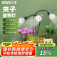 三思夾子植物燈led室內(nèi)全光譜綠植盆栽花卉分區(qū)補光燈-30W三頭定時