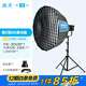 南光（NANLITE）FS-300B雙色溫直播補(bǔ)光燈 室內(nèi)影棚平面人像攝影燈 大功率視頻led常亮燈 專業(yè)高顯色拍攝燈 FS-300B+90快裝柔光箱（配蛋格）+燈架