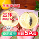 裕農叔冬蜜黃晶果【順豐JD】黃金牛奶雅美果稀有高端當季大黃皮水果鮮果2斤 精選中果（單果150g-200g）