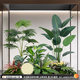 故森仿真植物綠植景觀(guān)造景陽(yáng)臺組合裝飾植物樓梯玻璃櫥窗仿生室內布置 景觀(guān)001-天堂鳥(niǎo)+加州蒲葵【主圖同款】