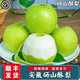 南步安徽碭山梨翠冠梨【順豐】青皮蜜梨酥脆皇冠梨子冰糖雪梨新鮮水果 8.5斤精選大果【約12-16個(gè)】