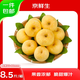 京鮮生 山東維納斯蘋(píng)果 8.5斤裝單果75-80mm  源頭直發(fā) 包郵