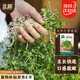 北蔬 蘿卜芽苗菜種子苗秋季家庭種植水培蔬菜籽 青蘿卜芽苗菜種子200g