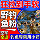 谷蜀香魚(yú)粉釣魚(yú)專(zhuān)用誘魚(yú)劑野釣餌料強效濃腥小藥打窩子開(kāi)口鯽魚(yú)鯉魚(yú)鰱鳙體驗款【1瓶裝】迅速誘魚(yú)