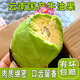 味小仙云南哈斯牛油果 新鮮國產(chǎn)牛油果高山種植水果生鮮 2個(gè)（體驗裝） 特大果（單果160-190g）
