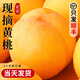 【順豐】蒙陰黃桃新鮮水果當季整箱孕婦時令水果黃毛蟠桃脆甜桃子 黃毛桃凈重4.5斤【單果125g+】